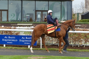 Fairy Godmother Ryan Moore
